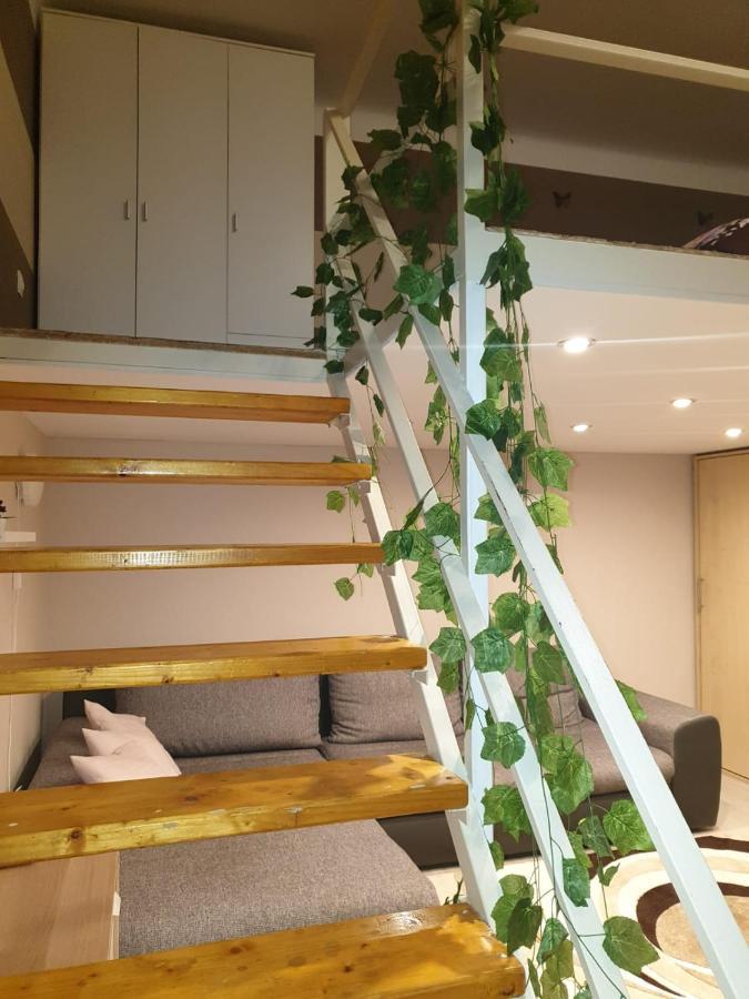 Apartment In Downtown בודפשט מראה חיצוני תמונה